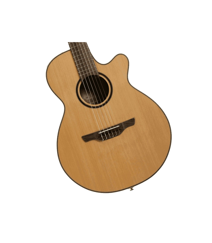 TAKAMINE P3FCN