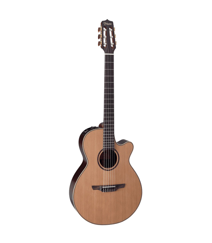 TAKAMINE DN65C