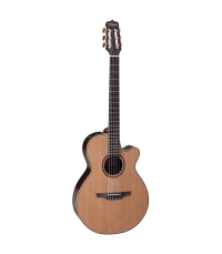 TAKAMINE DN65C