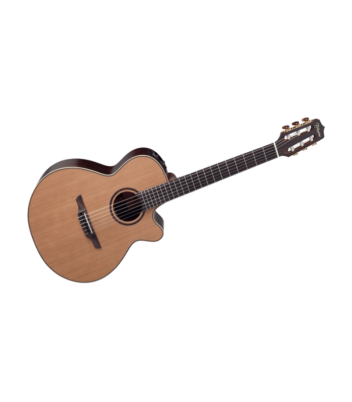 TAKAMINE DN65C