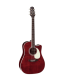 TAKAMINE JOHN JORGENSON 325SRC