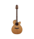 TAKAMINE P3NC