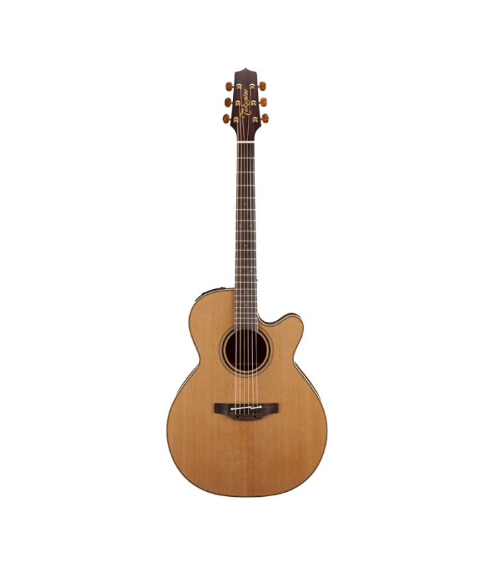 TAKAMINE P3NC
