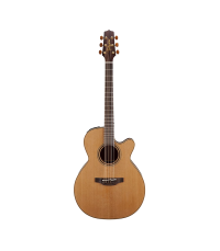 TAKAMINE P3NC