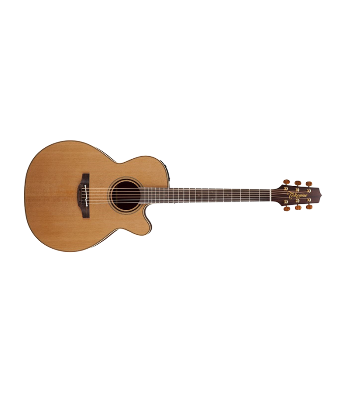 TAKAMINE P3NC