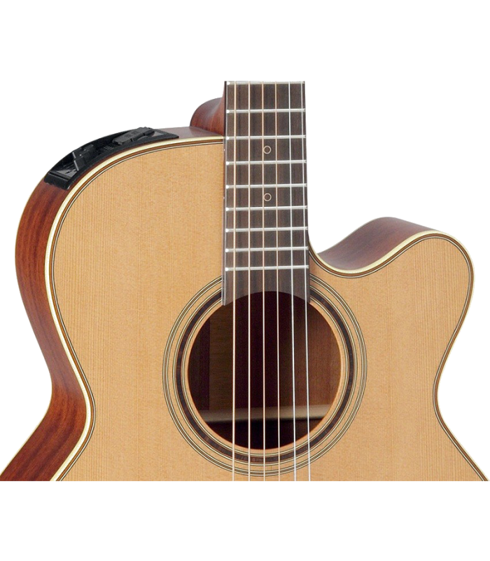 TAKAMINE P3NC