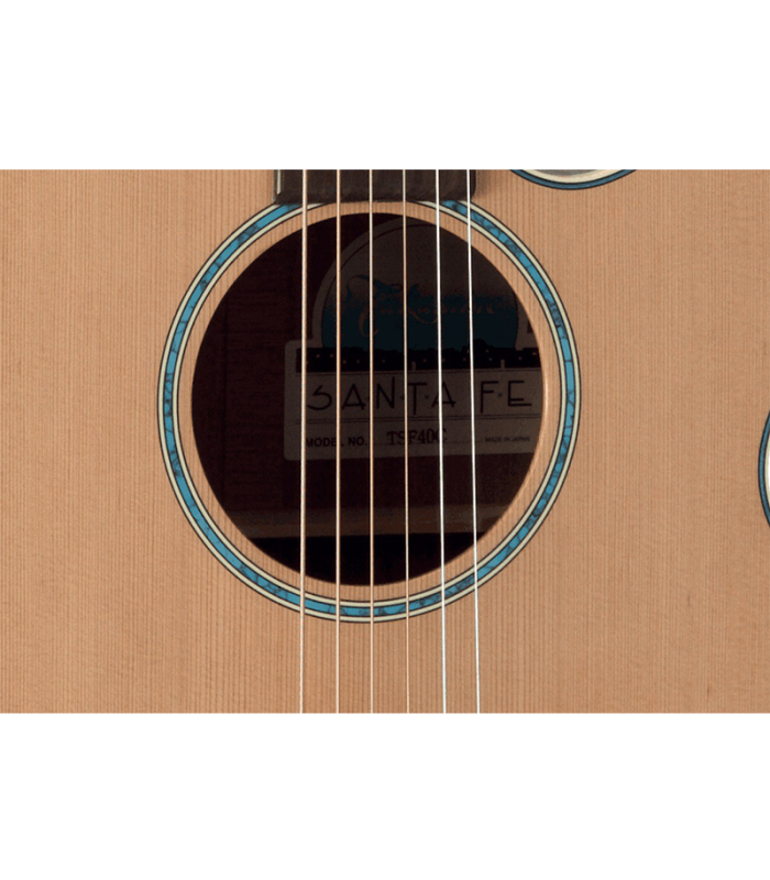 TAKAMINE TSF40C