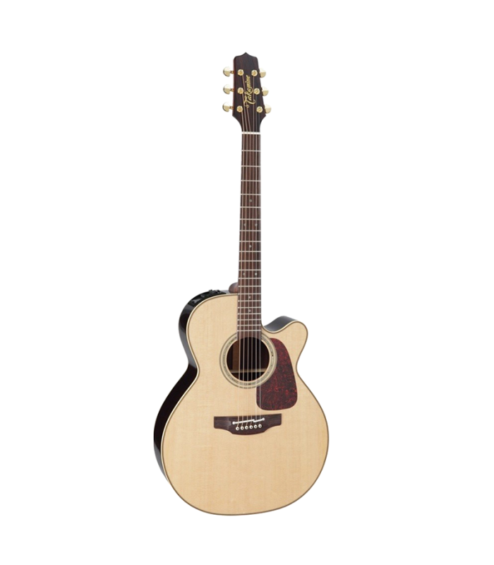 TAKAMINE P5NC