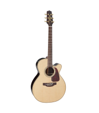 TAKAMINE P5NC