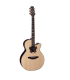 TAKAMINE TSF48C
