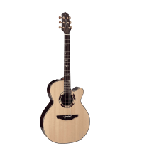 TAKAMINE TSF48C