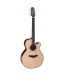 TAKAMINE TN48C