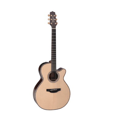 TAKAMINE TN48C