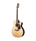 TAKAMINE P7NC