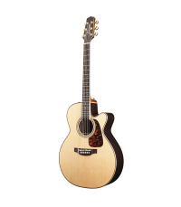 TAKAMINE P7NC