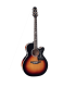TAKAMINE EF450CTTBSB
