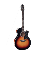TAKAMINE EF450CTTBSB