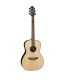 TAKAMINE GY93 NEW YORKER NAT 