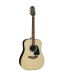 TAKAMINE GD51 NAT