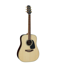 TAKAMINE GD51 NAT