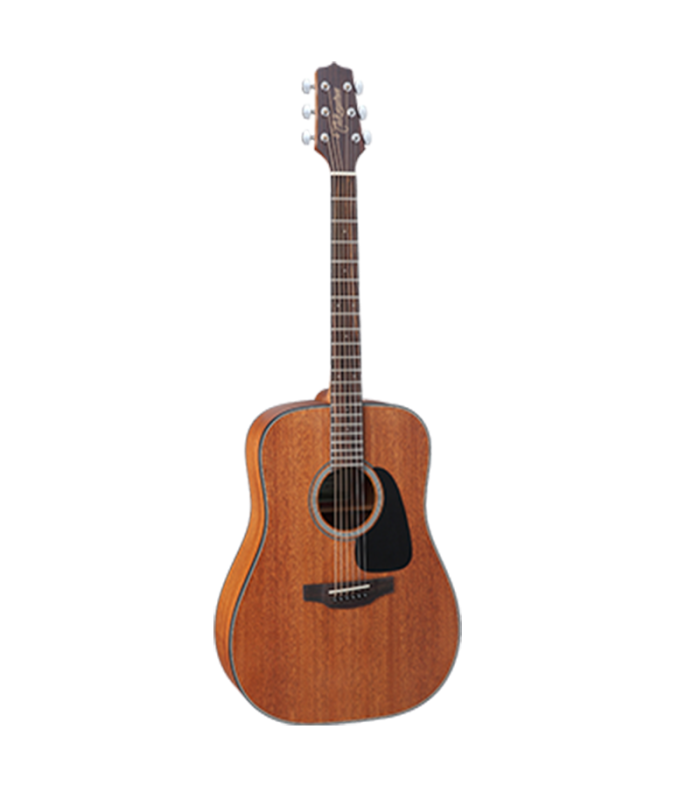 TAKAMINE GD11 NAT SATIN