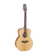 TAKAMINE GN20 NAT SATIN