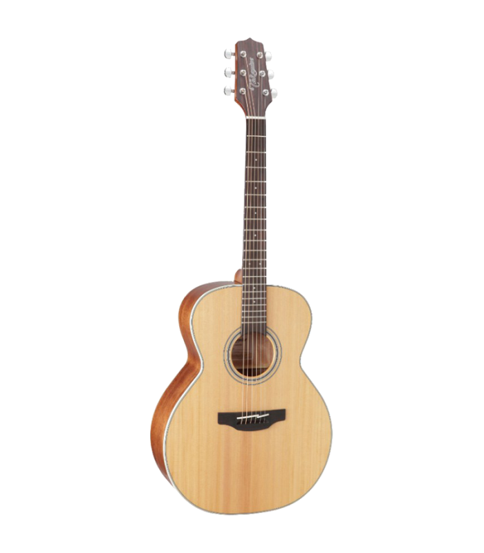 TAKAMINE GN20 NAT SATIN