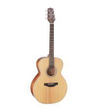 TAKAMINE GN20 NAT SATIN