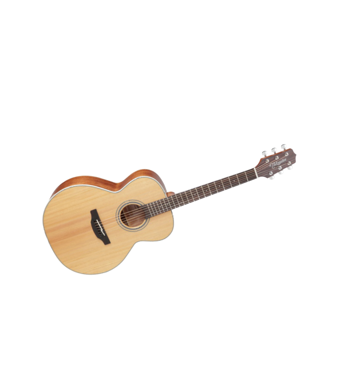TAKAMINE GN20 NAT SATIN