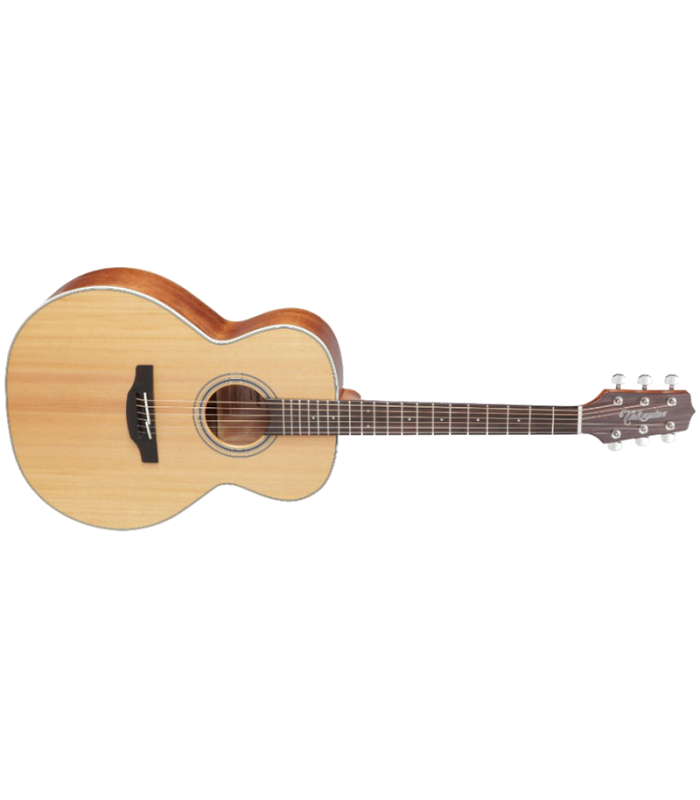 TAKAMINE GN20 NAT SATIN