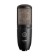 AKG P220
