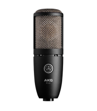 AKG P220