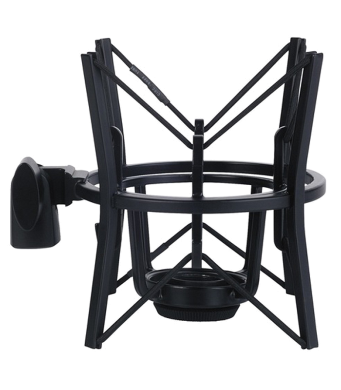 AKG P220