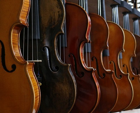 Le violon